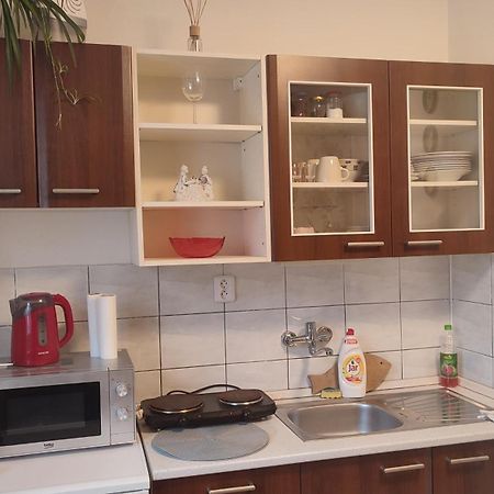 Begonia-Dom S Jednou Spalnou Besenova Bagian luar foto